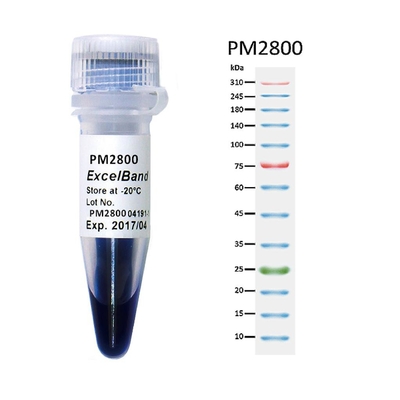 11 밴드 9-180KDA는 고역 단백질 마커 2x250ul 3 색 25-300kDa를 청색화합니다