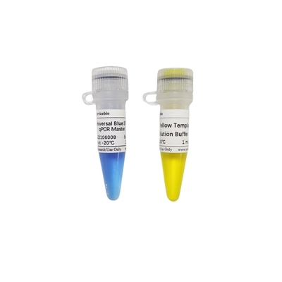 2× 유니버셜 푸른 GSK 녹색 QPCR 마스터는 40× 노랑 템플릿 희석 버퍼와 섞입니다