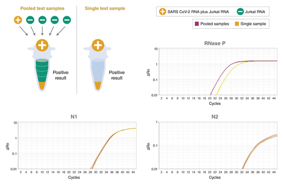 유니버셜 택맨 다양한 QPCR 마스터 믹스 생화학 시약