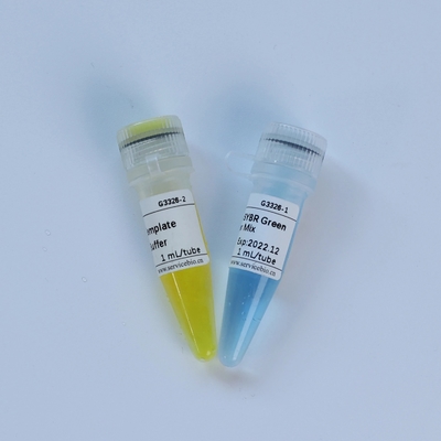 유니버셜 택맨 다양한 QPCR 마스터 믹스 생화학 시약