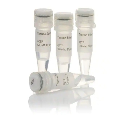 각각 연구 용도 오직을 위한 25 mmol/L 99% 순도 DNTP 혼합 25mM