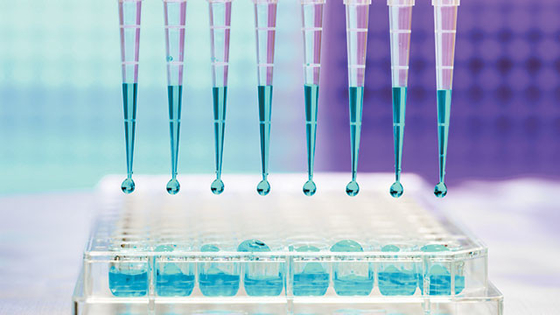 10UL 100UL RNA 가수분해효소 무료 무균 피벳은 시험소를 위한 극소 유니버셜에게 비밀 정보를 제공합니다